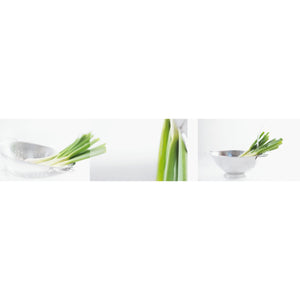 nobilia Wandverkleidung 437 Dekor Lauch