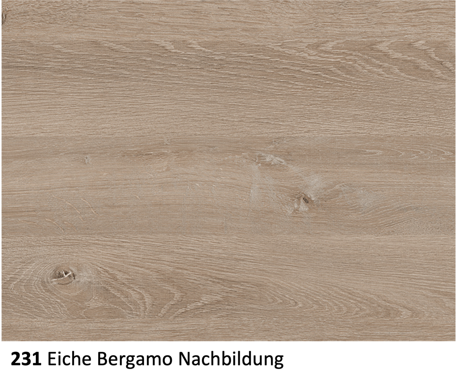 Dekoransicht: Dekor 231