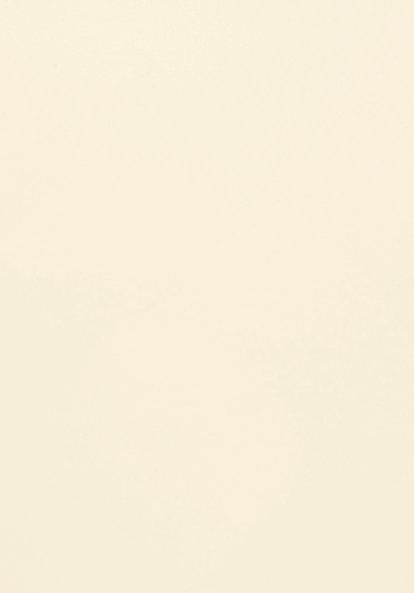 nobilia-Korpusfarbe-Korpusdekor-120-Magnolia-matt-passend-zu-Speed-206-Magnolia-softmatt