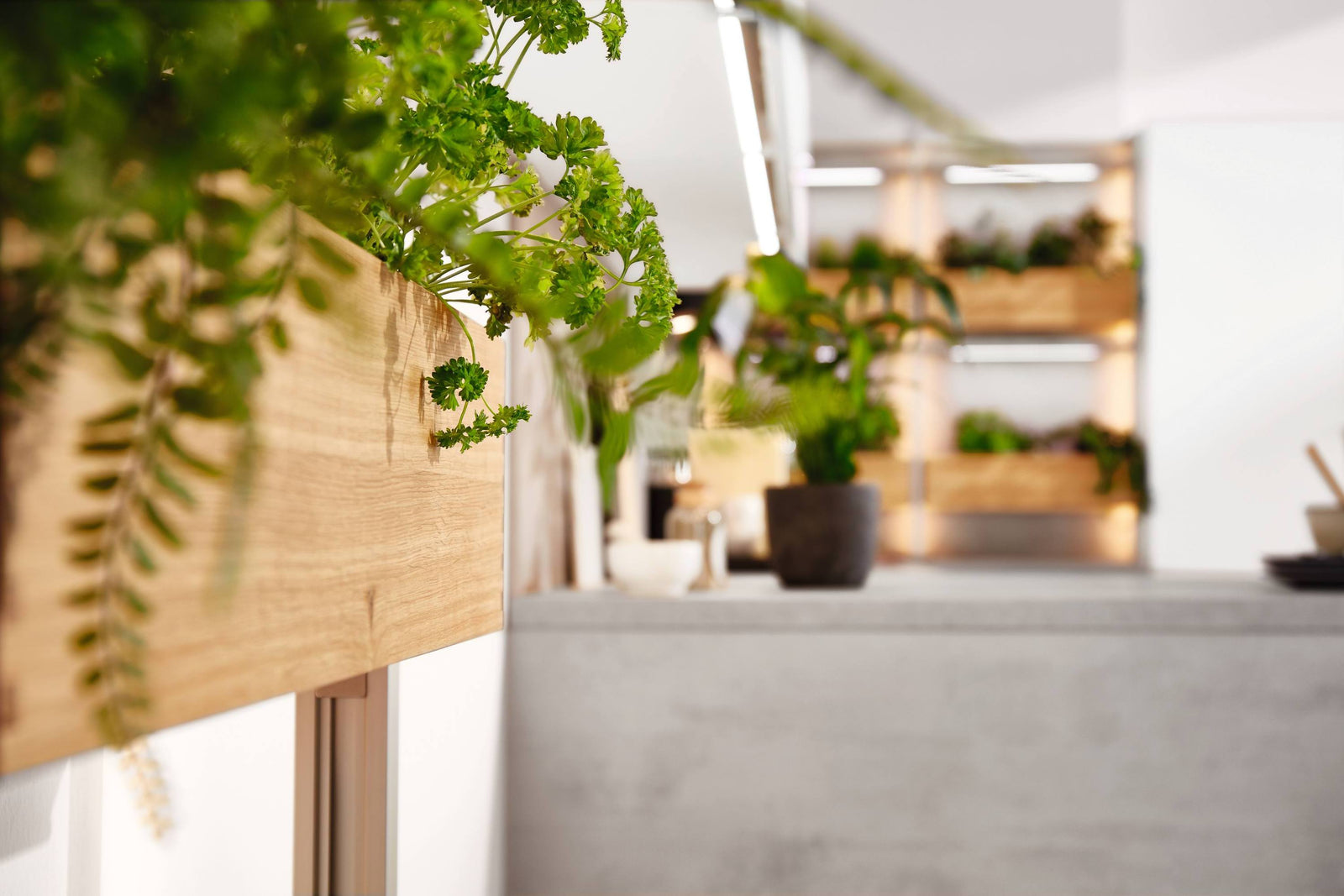 nobilia-Kuechenzeile-nobilia-Kueche-Laser-427-top-shelf (2)