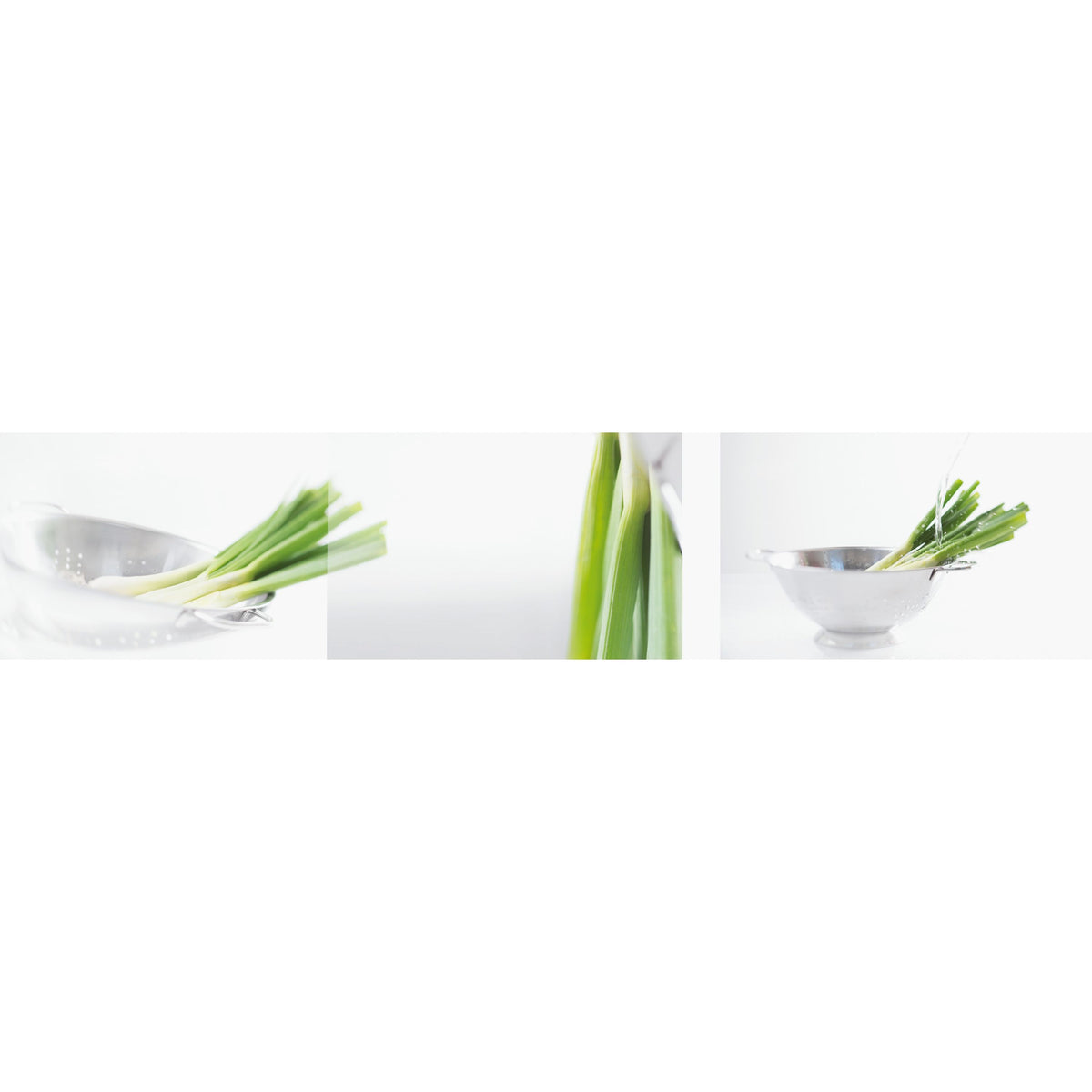 nobilia Wandverkleidung 437 Dekor Lauch